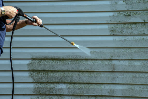 Best Fence Cleaning  in Ladera Heights, CA